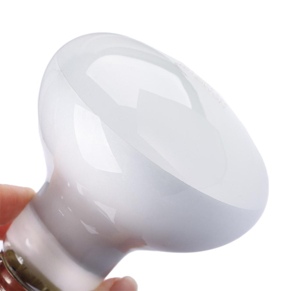 Basking Bulb Halogen - Schildpadverwarmer Temperatuurregelaar Zonnebanklamp Halogeenlamp Reptielen UVA-lamp