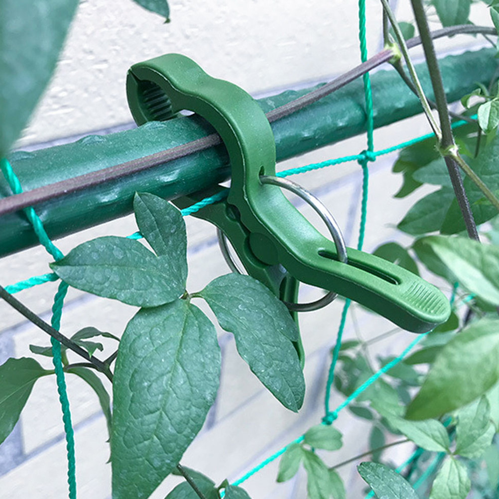 Vine Climbing Plastic - 60 stuks tuinplantenklemmen, plastic plantensteunklemmen voor