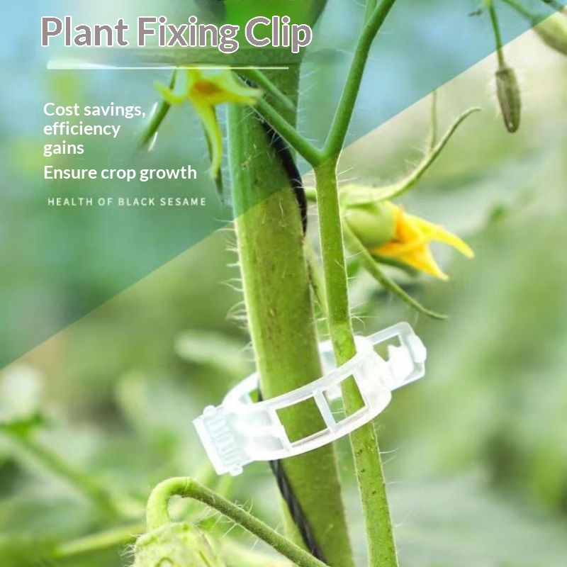 Vine Climbing Plastic - Herbruikbare plastic plantensteunclips, klem voor het