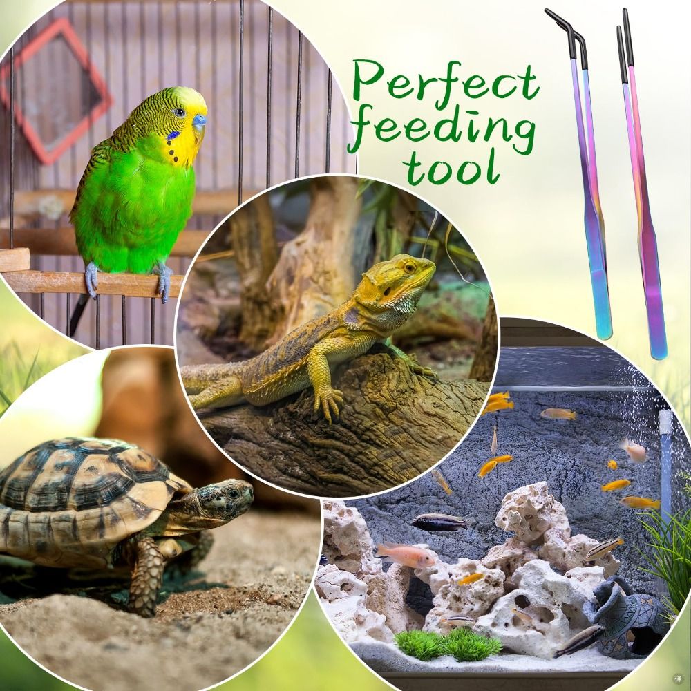 2 stuks roestvrijstalen reptie - Feeding Tong Stainless recensie en prijs