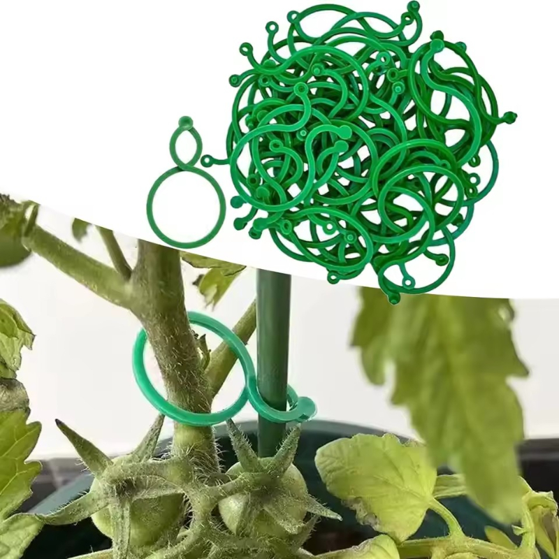 50-400 stuks plantensteunclips - Vine Climbing Plastic recensie en prijs