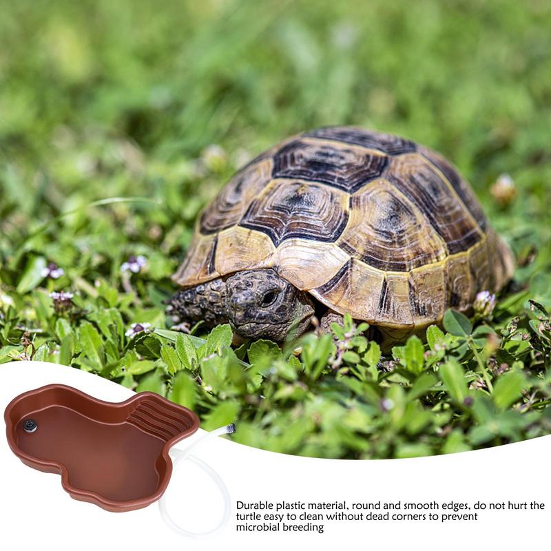 Schildpad Voerbak Reptiel Badz - Water Dish Reptile recensie en prijs