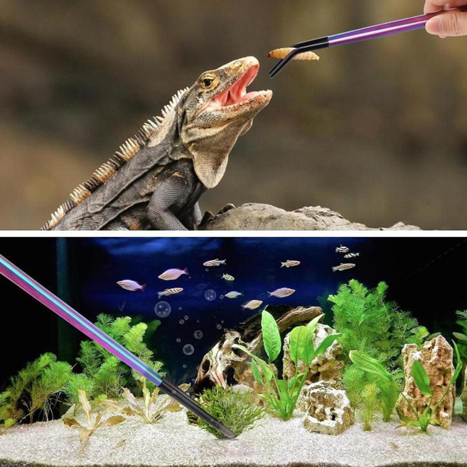 Aquariumpincet Reptielenvoeder - Feeding Tong Stainless recensie en prijs