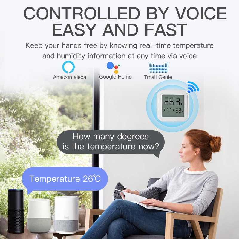 Bluetooth Temperatuur-vochtigh - Digital Hygrometer Probe recensie en prijs