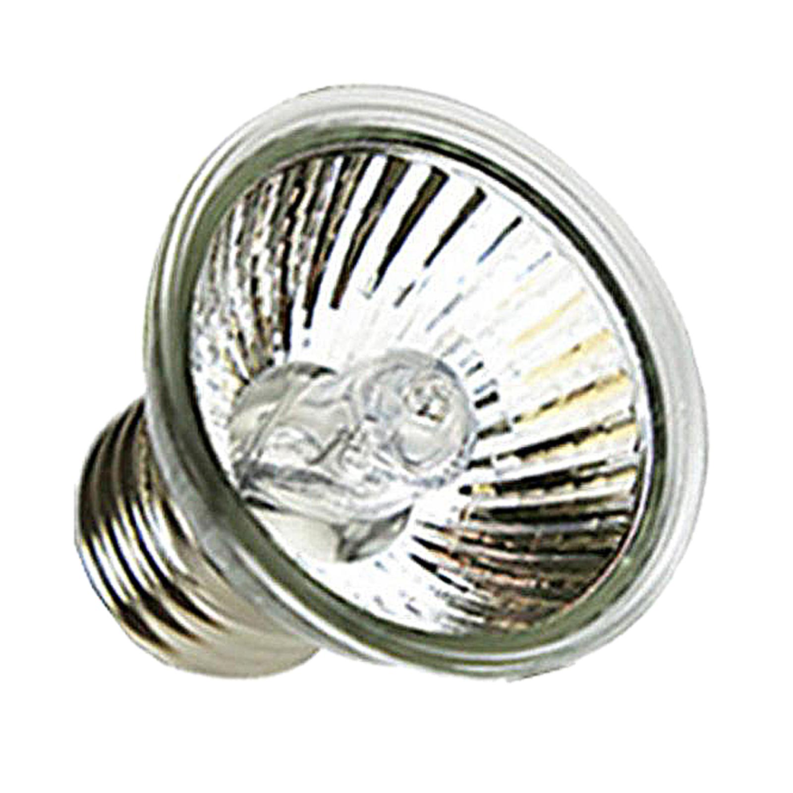 UVA UVB Reptiel Warmtelamp Hal - Basking Bulb Halogen recensie en prijs