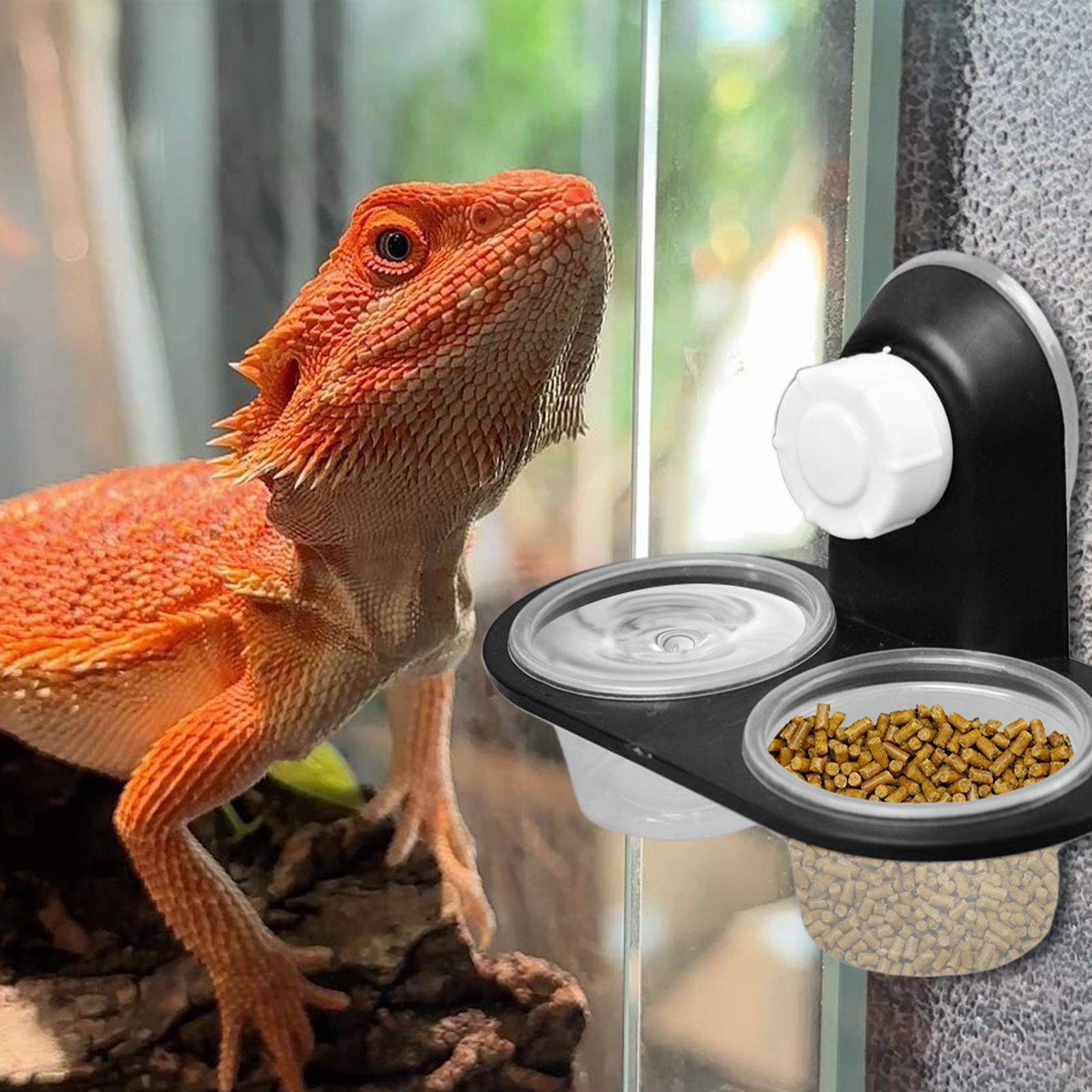 Gecko Voedselbak Gecko Waterba - Water Dish Reptile recensie en prijs