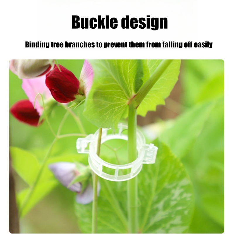 500 Stuks Plastic Plant Onders - Vine Climbing Plastic recensie en prijs