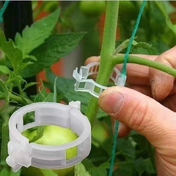 500 Stuks Plastic Plant Onders - Vine Climbing Plastic recensie en prijs