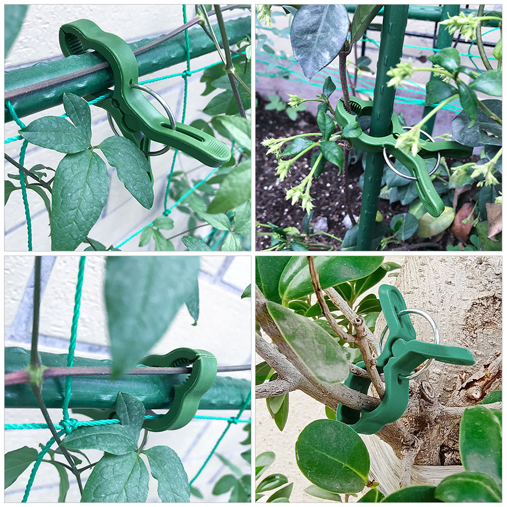 60 stuks tuinplantenklemmen, p - Vine Climbing Plastic recensie en prijs
