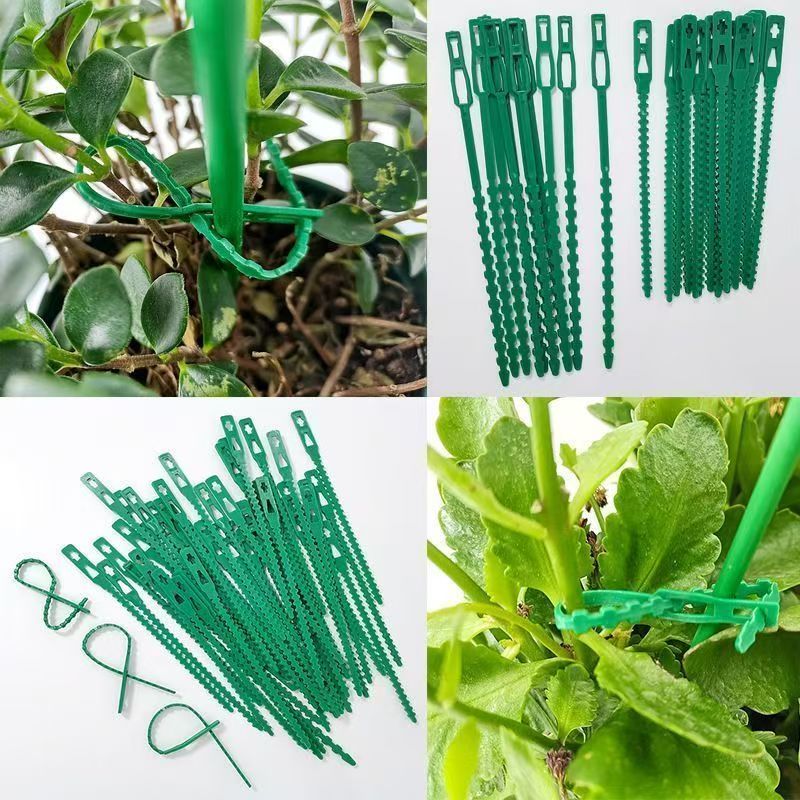 Groene herbruikbare plantenbin - Vine Climbing Plastic recensie en prijs
