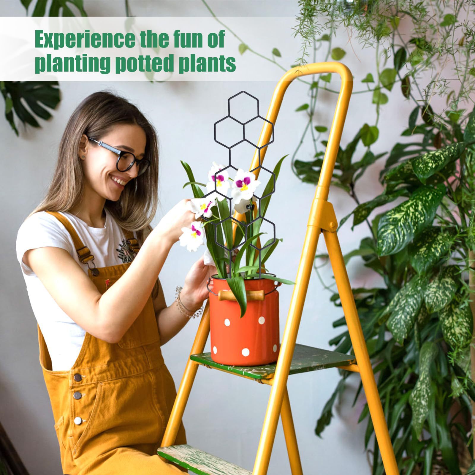 1PC honingraatdesign plantenro - Vine Climbing Plastic recensie en prijs