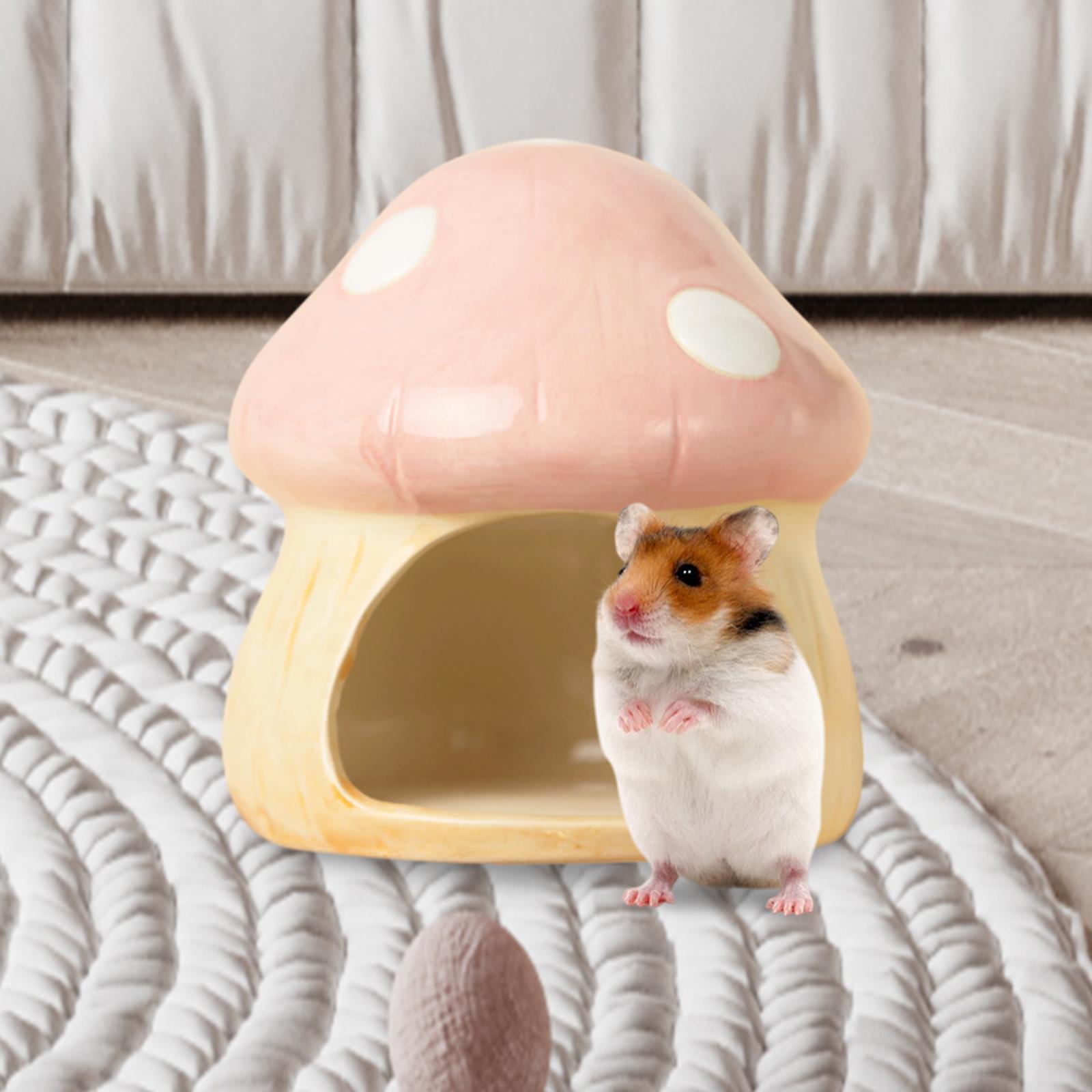 Keramische Paddestoel Hamster  - Hide Cave Ceramic recensie en prijs