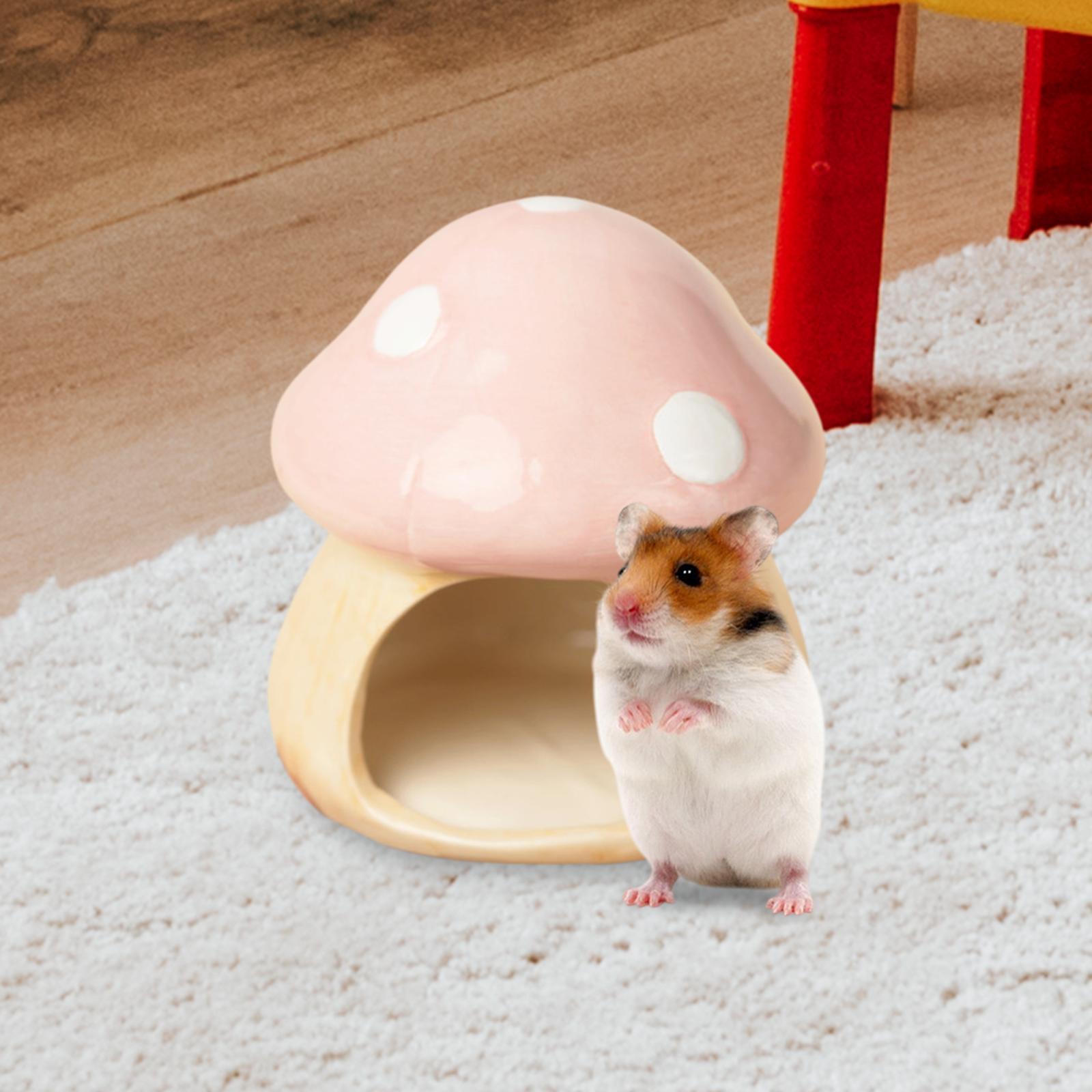 Keramische Paddestoel Hamster  - Hide Cave Ceramic recensie en prijs