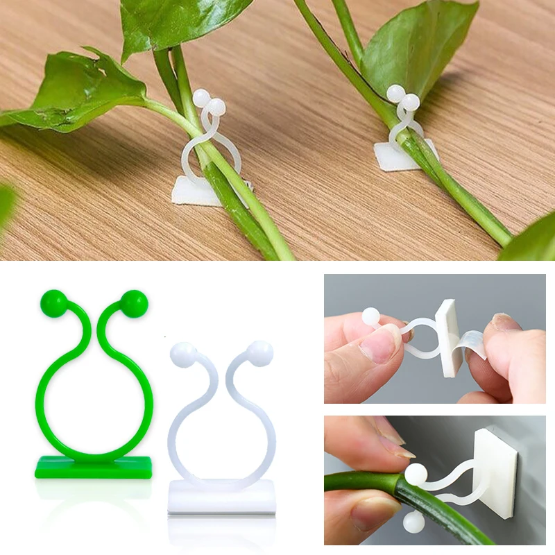 Plant Klimmuur Zelfklevende Va - Vine Climbing Plastic recensie en prijs